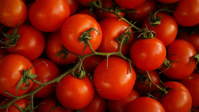 Cà chua chứa lycopene