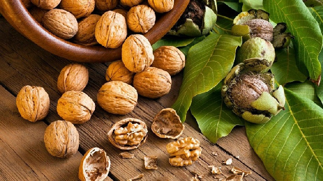 Các loại hạt tốt cho sức khỏe