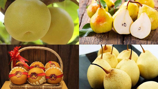 Lê cung cấp đồng và flavonoids