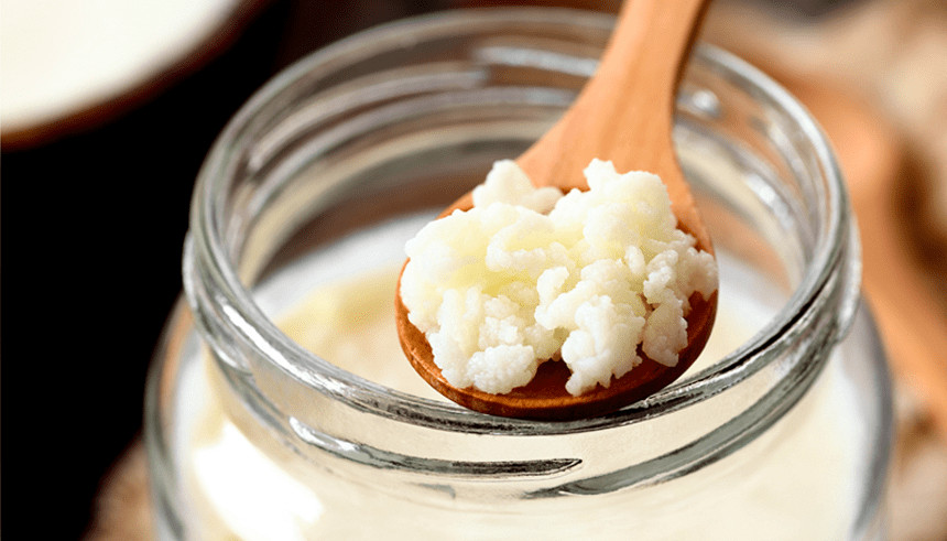 Nấm sữa Kefir