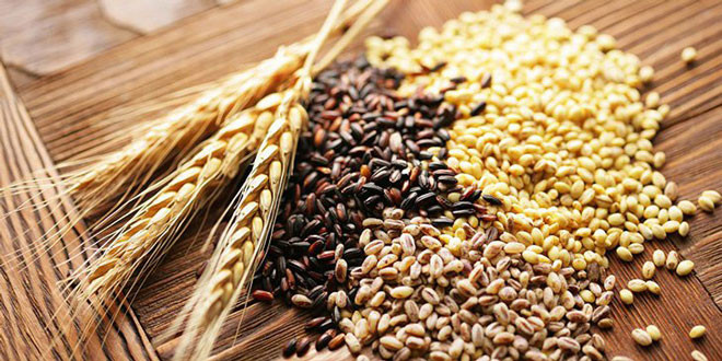 Ngũ cốc nguyên hạt tốt cho bệnh tiểu đường