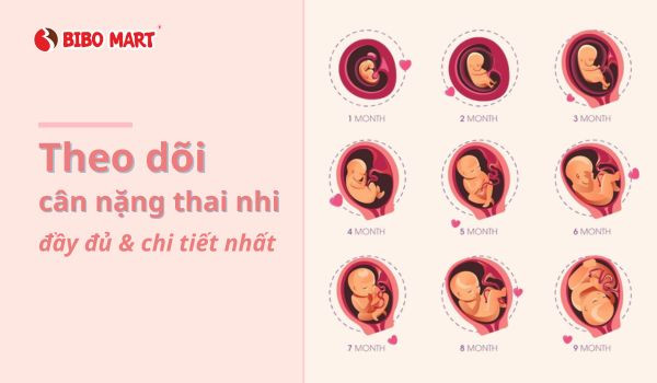 Cảnh báo dịch muỗi zika: tp.hồ chí minh đã có 51thai phụ nhiễm vi-rút zika. mẹ  hãy cẩn thận, đang dịch đó