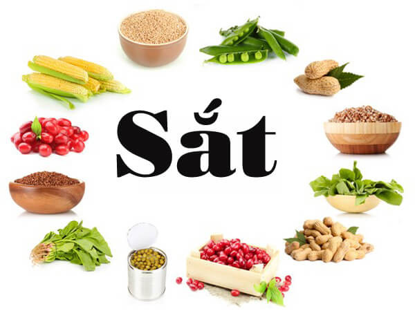 Tầm Quan Trọng Của Sắt Đối Với Sự Phát Triển Của Trẻ Sơ Sinh