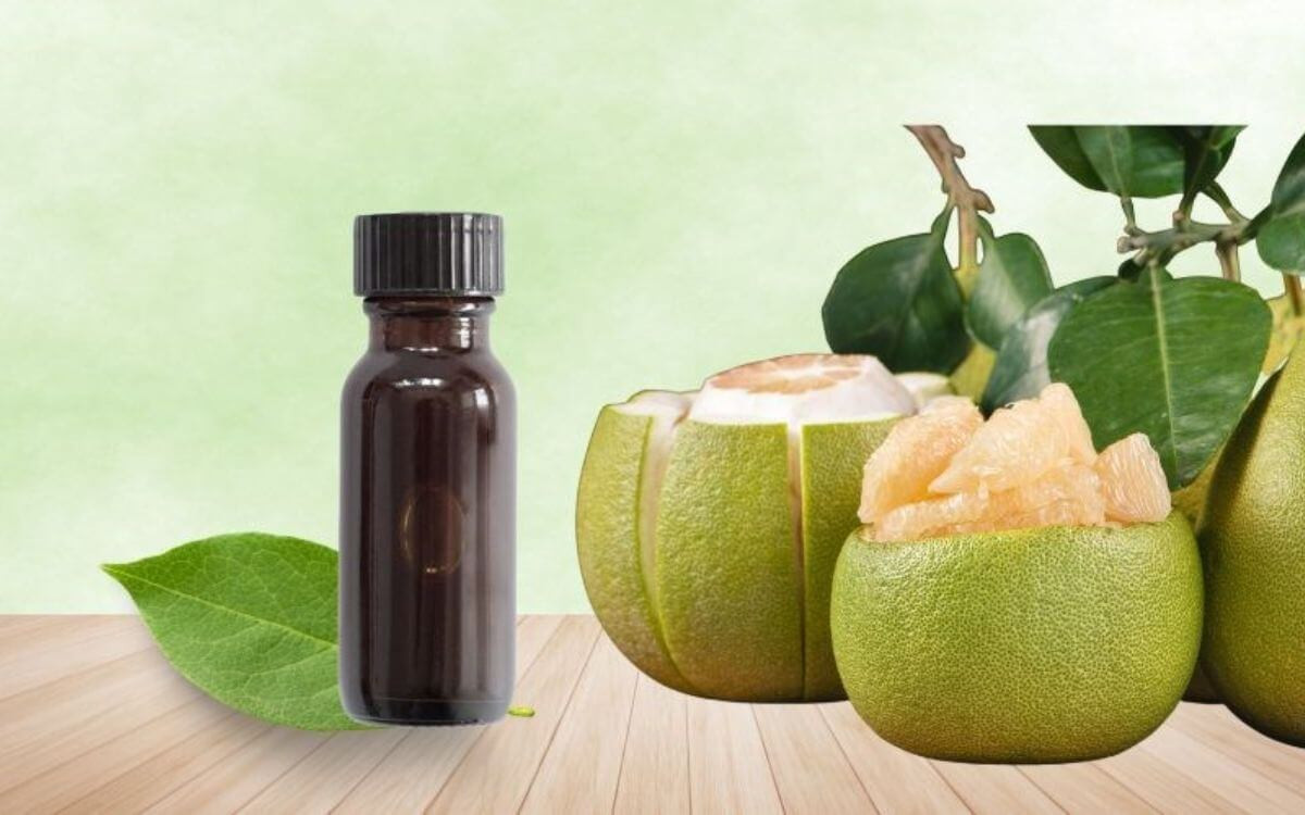 Tinh dầu bưởi tự nhiên tốt cho sức khỏe và sắc đẹp