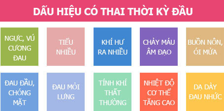 Thời điểm mẹ đi khám thai lần đầu và những điều cần biết