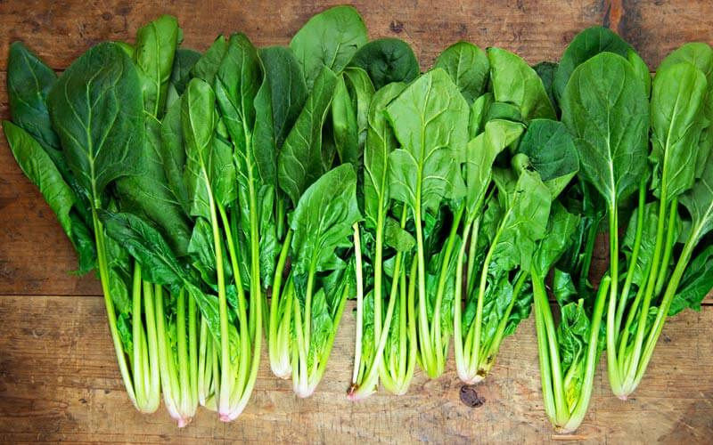 Nếu đang mang bầu mùa đông – mẹ nhất định phải ăn 8 món này!