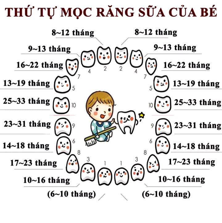 Bé mọc răng: dấu hiệu của sự phát triển