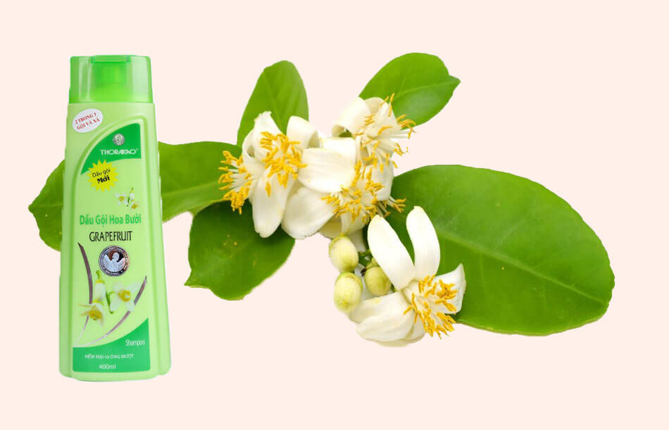 Tinh dầu bưởi tự nhiên tốt cho sức khỏe và sắc đẹp