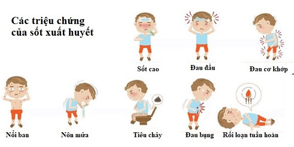 Trẻ bị sốt xuất huyết, ba mẹ cần xử lý như thế nào?