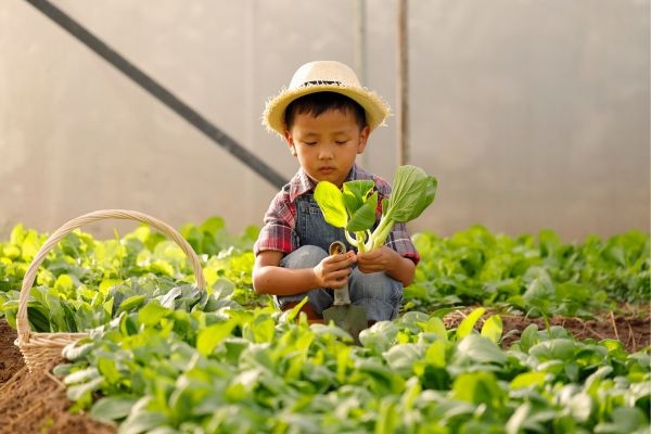 12 hoạt động hè mang tính giáo dục cho trẻ
