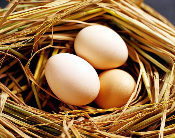 Top 10 thực phẩm hàng đầu giúp bà bầu ăn vào con mà không vào mẹ