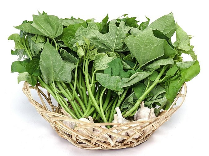 Ăn gì sữa về nhiều? 15+ thực phẩm giúp sữa mẹ về không ngớt