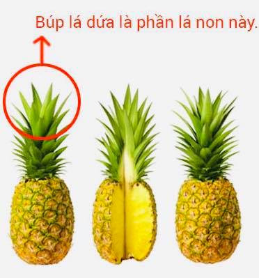 Ăn gì sữa về nhiều? 15+ thực phẩm giúp sữa mẹ về không ngớt