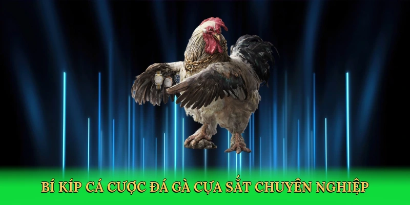 Đá Gà Cựa Sắt – Đấu Trường Kịch Tính Tại RED88