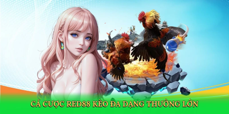 Đá Gà Miền Nam – Đấu Trường Sôi Động Tại Red88