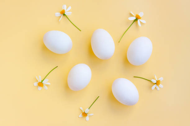 Cho trẻ ăn trứng đúng cách đảm bảo dinh dưỡng