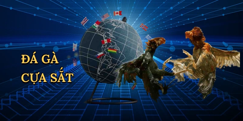 Đá gà cựa sắt