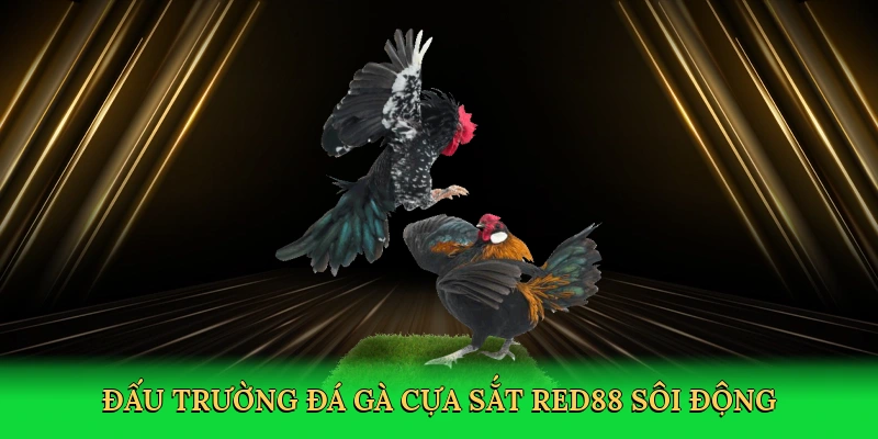 Đá Gà Cựa Sắt – Đấu Trường Kịch Tính Tại RED88