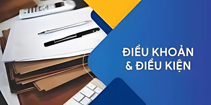 Điều Khoản Vin88: Nền Tảng Minh Bạch Để Cá Cược An Toàn