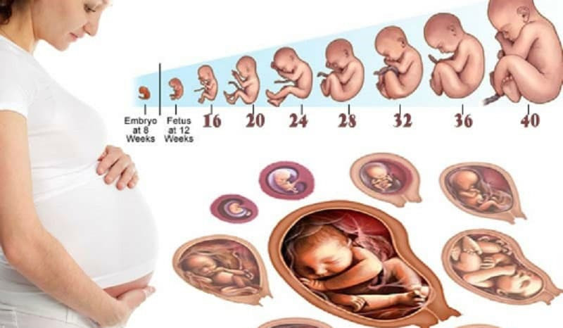 Những dấu hiệu mang thai sớm mẹ nào cũng nên biết