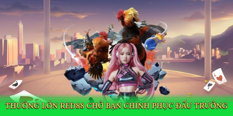Đá Gà Miền Nam – Đấu Trường Sôi Động Tại Red88