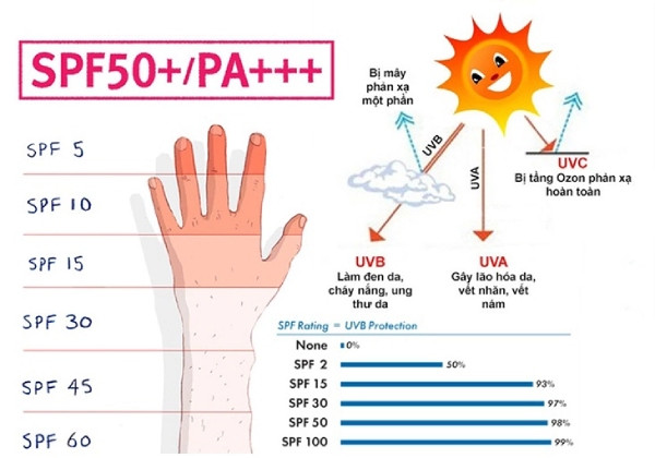Top 10 kem chống nắng Hàn Quốc tốt nhất năm 2025