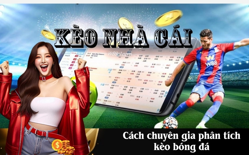 Cách chuyên gia phân tích kèo bóng đá