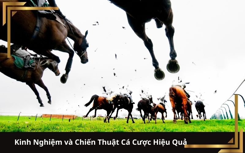 Kinh Nghiệm và Chiến Thuật Cá Cược Hiệu Quả