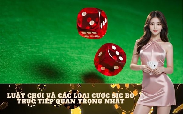 Hướng dẫn cách chơi Sic Bo trực tiếp cho người mới: Toàn tập A-Z chinh phục mọi nhà cái