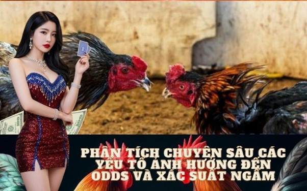 Phân Tích Chuyên Sâu Các Yếu Tố Ảnh Hưởng Đến Odds và Xác Suất Ngầm
