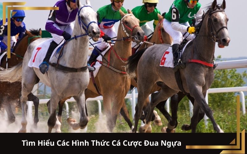 Tìm Hiểu Các Hình Thức Cá Cược Đua Ngựa