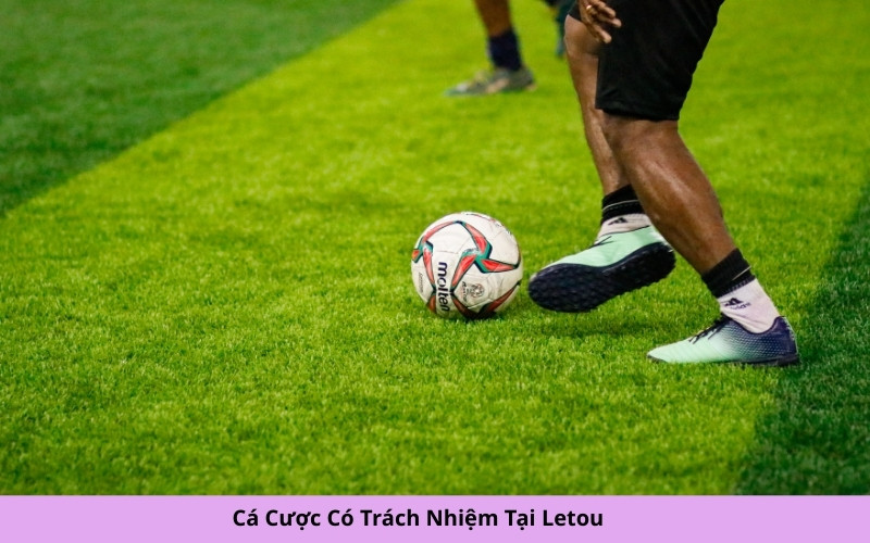 Cá Cược Có Trách Nhiệm Tại Letou